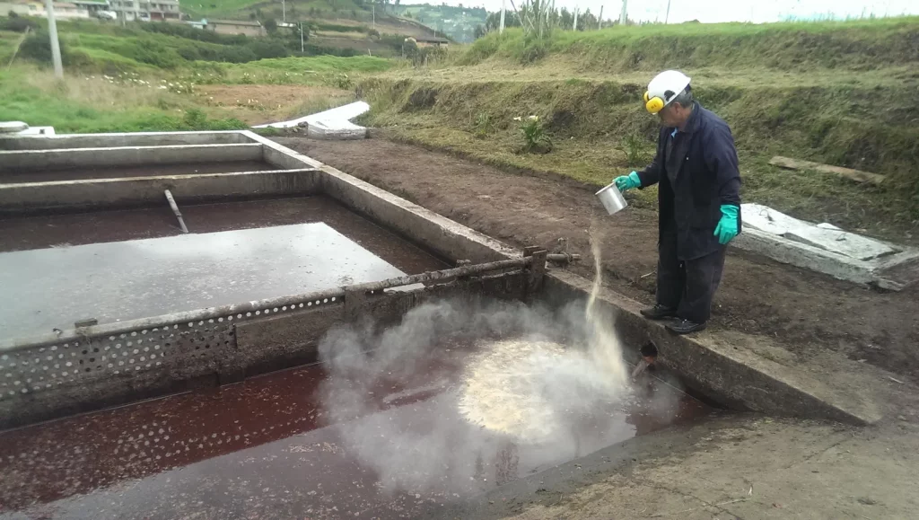 Biotratamiento de aguas residuales en el camal del GAD Tulcán