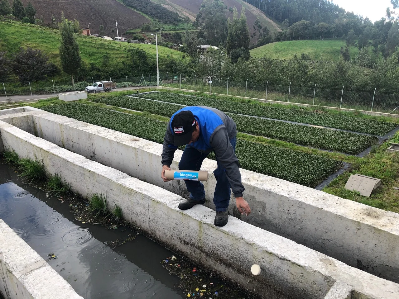 Biotratamiento de aguas residuales — aplicación de bioactivador en planta de tratamiento, GAD Huaca, Carchi, Ecuador