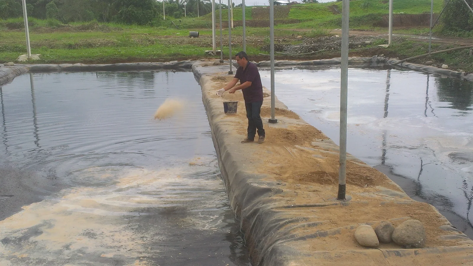 Biotratamiento de lixiviados — relleno sanitario GAD Santo Domingo, Ecuador