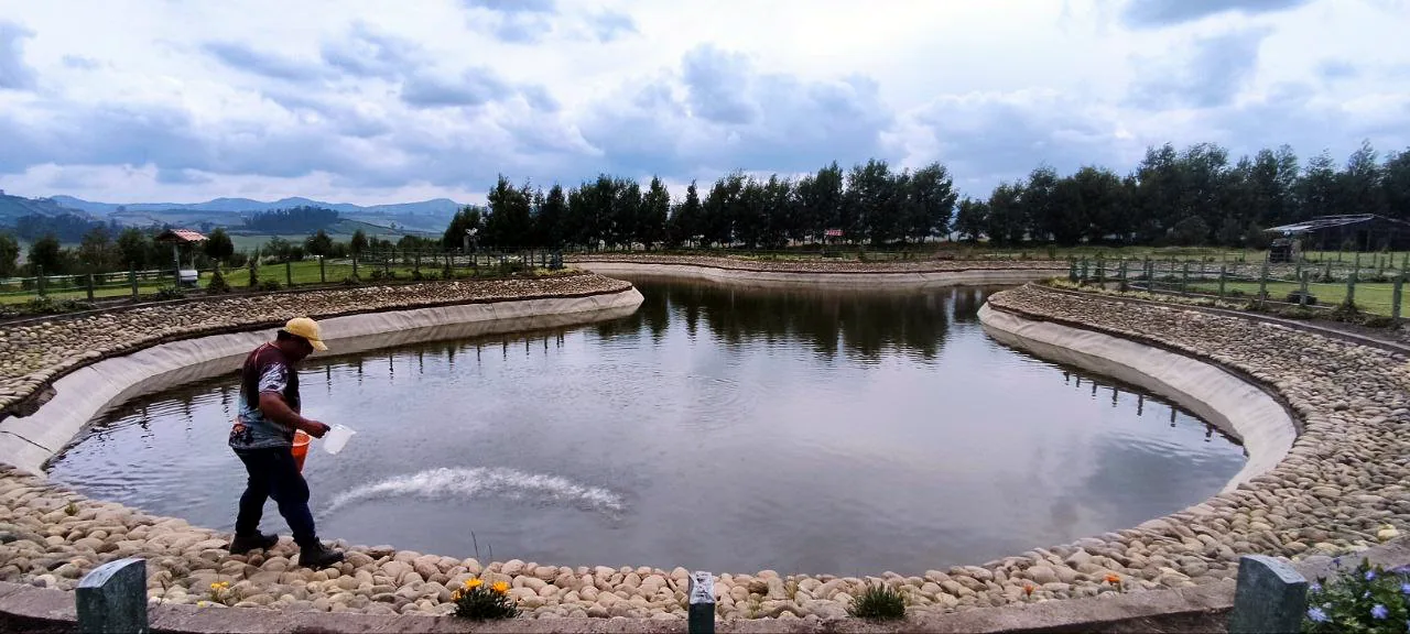 Recuperación de la laguna del Ecoparque de la Prefectura del Carchi
