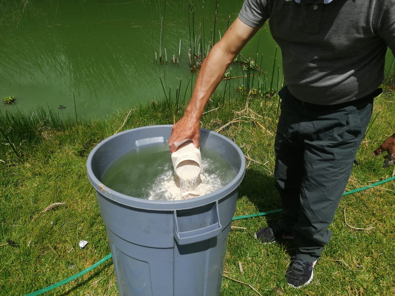 Preparación del Micropan Aquaclear antes de la aplicación